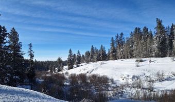 4376 Granite Rdg, Ashton, ID 83420