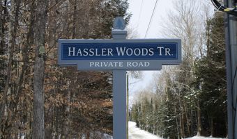 11190 Hassler Woods Trl, Alanson, MI 49706