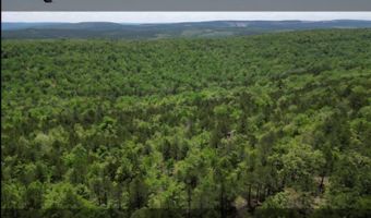 TR34 35 & 36 TRAIL RIDGE ROAD, Albion, OK 74571