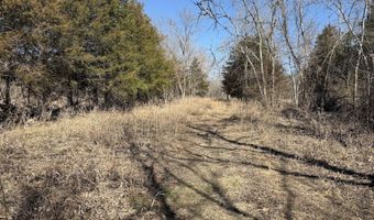 Rt 1 County Rd 14-531, Ava, MO 65608
