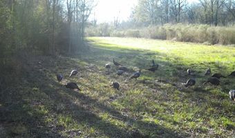 561 Church Rd, Batesburg, SC 29006