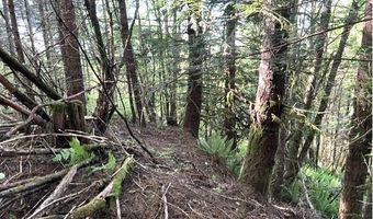 West Tunnel, Banks, OR 97106