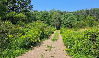 0 COUNTY ROUTE 41, Afton, NY 13730