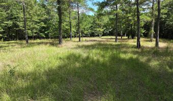 Highway 112, Abbeville, GA 31001