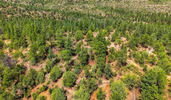 17775 County Road 51, Boncarbo, CO 81024