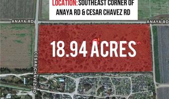 000 Anaya Rd, Alamo, TX 78516