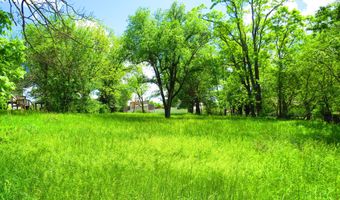 403 E Hamilton Ave, Ava, MO 65608