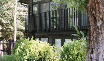 950 E Durant Ave 4, Aspen, CO 81611