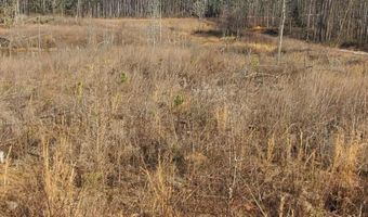 85 6+/- Acres County Road 2291, Booneville, MS 38829