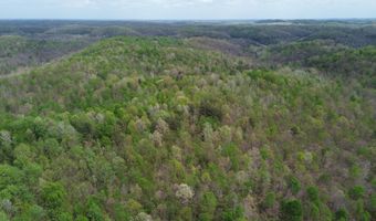566 A Tunnel Ridge Rd, Argillite, KY 41121