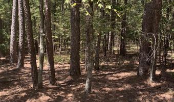 17 Fonsagrada Cir, Hot Springs Village, AR 71909