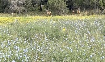 777 County Road 977, Arboles, CO 81147