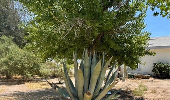925 W Bettles Rd, Amargosa Valley, NV 89020