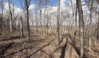 1790 County Rd A-435, Ava, MO 65608