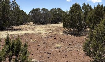 82 N 8368, Concho, AZ 85924