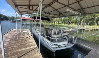 2087 White Rd, Abbeville, AL 36310