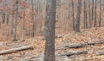 Tbd County Road East 76-211, Ava, MO 65608