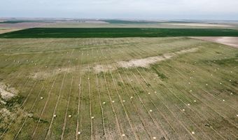 County Road 3P, Arriba, CO 80804