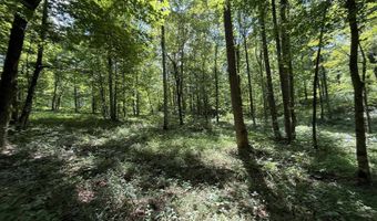 Lot 20 Newpointe Subdivision, Albany, KY 42602