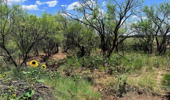 TBD East Tract County Road 356, Anson, TX 79501