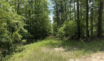 Burks Mountain Road, Appling, GA 30802