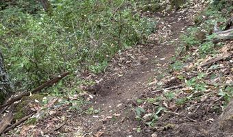 1600 Neil Creek Rd, Ashland, OR 97520