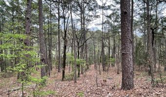 175626 Boulder Rd, Antlers, OK 74523