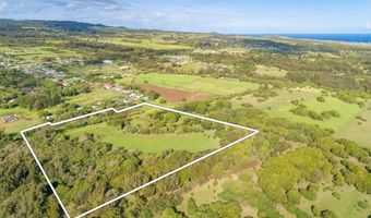 UNION MILL RD, Kapaau, HI 96755