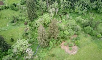 NE 389th St, Amboy, WA 98601