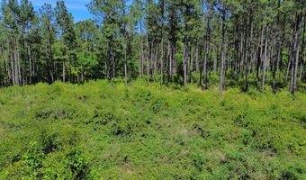 0 Orem Rd, Bay Minette, AL 36507