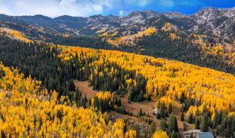 12490 E OLD STAGE Rd, Brighton, UT 84121
