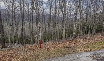 TBD Lot # 46 Woodlily Drive, Banner Elk, NC 28604