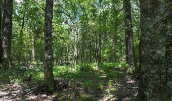 Highway 112, Abbeville, GA 31001