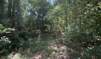 21123 LOOP Rd Lot 1, Andalusia, AL 36421