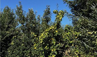 97040 Henderson, Brookings, OR 97415