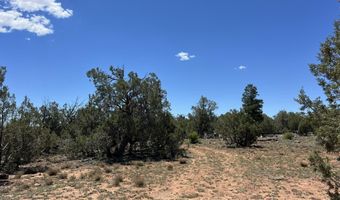 462 Un Named Rd, Ash Fork, AZ 86320