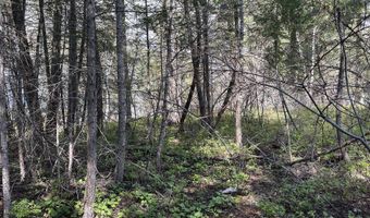 716 Echo Lake Rd, Bigfork, MT 59911