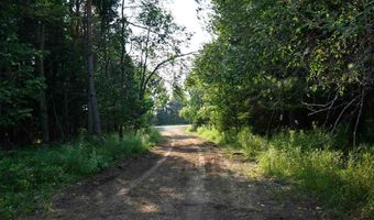 9537 LAKEVIEW, Alanson, MI 49706