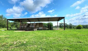 3350 SE Mount Pleasant Ln, Bogue Chitto, MS 39629