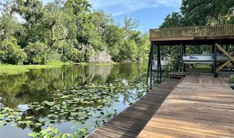 23733 BASIN Dr, Astor, FL 32102