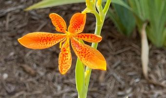 7308 HIGH BRIDGE Rd, Bowie, MD 20720