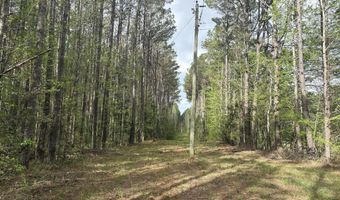 Hester Road, Ackerman, MS 39735