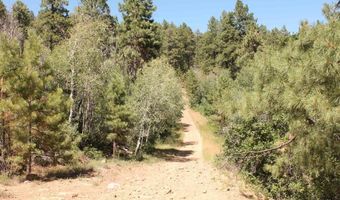 166 Jackalope Dr, Bayfield, CO 81122