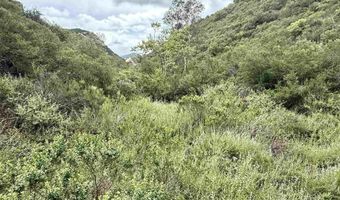 Mt Olympus Valley Road, Fallbrook, CA 92028