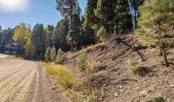 Back Basin Rd lot 145, Angel Fire, NM 87710