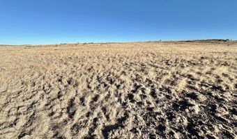 N3443, Concho, AZ 85924