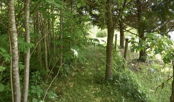 71 Maple St, Brandon, VT 05733