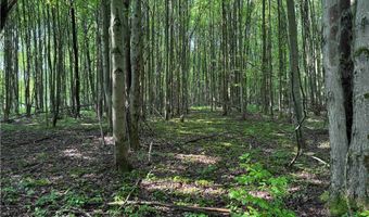 749 Green Rd, Alfred, NY 14803