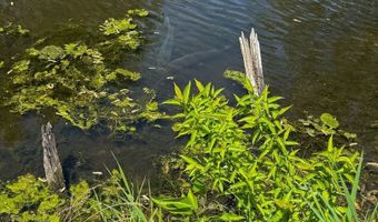 39450 N Circle Ave, Antioch, IL 60002