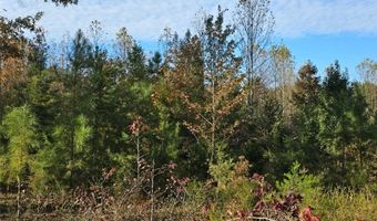 11100 Patrick Henry Hwy, Amelia, VA 23002